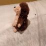 Nippit the hedgehog Jellycat Image 2