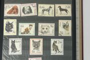 Collection: Poland Stamps mainly used however some mint noted along with some miniature sheets on 38 pages