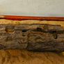 Bog Wood Image 2
