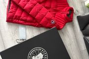 canada goose