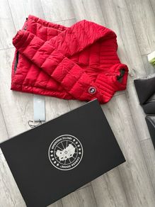 canada goose