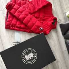 canada goose