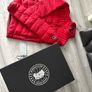 canada goose Image 9