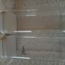 Food storage containers and pretty jars Image 4