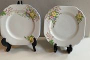 Shelly plates set of two