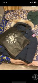 Canada goose