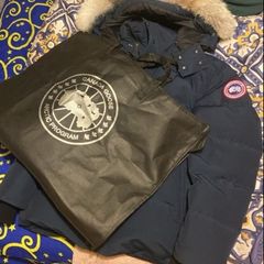 Canada goose