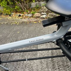 Recumbent Trike