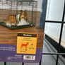 Dog crate Image 6