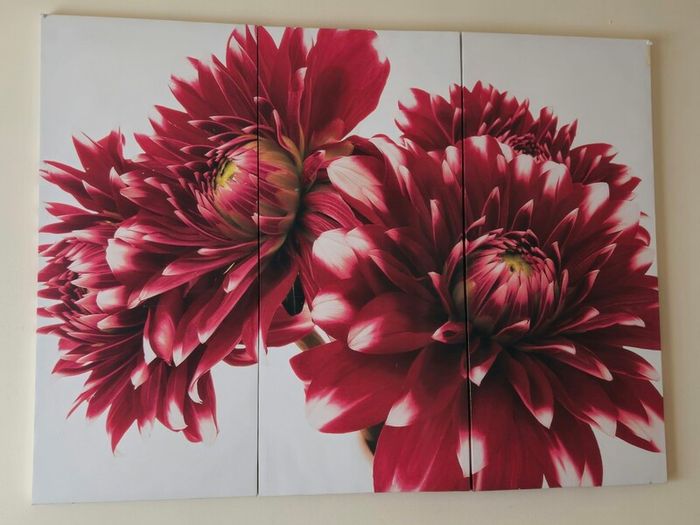 Red Flower Wall Art