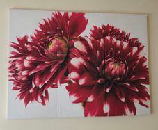 Red Flower Wall Art