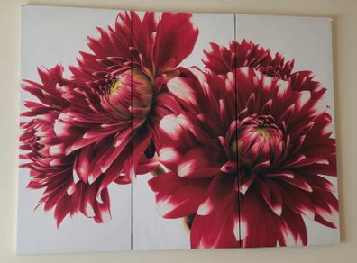 Red Flower Wall Art