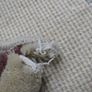 Chinese Aubusson Runner 3.30 x 0.70m (CHINA) Image 10