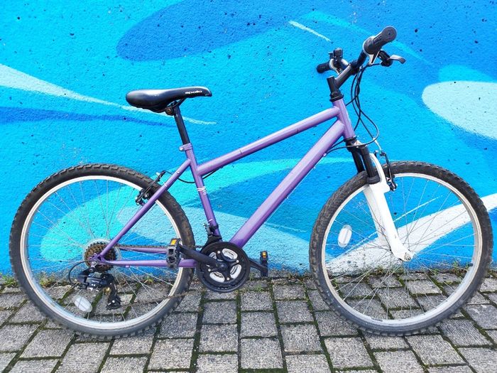 Apollo Mountain Bike