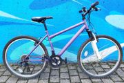 Apollo Mountain Bike