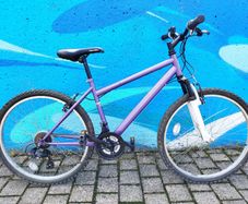Apollo Mountain Bike