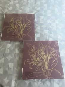 Pictures x Two Lightweight Wall Canvases .. Price Drop