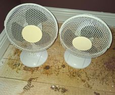 Cooling fans 2 for 20 euro