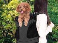 main image for ad Pet Backpack up to 20kg Adjustable Straps Foldable Short Leash Reflective Strip