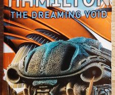 The Dreaming Void