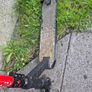 Mongoose Scooter Image 2