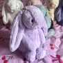 New jellycat medium lilac bunny Image 2