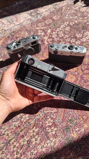 Canon 7