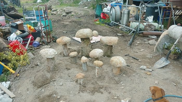 Granite mushrooms miniature ones