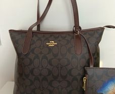 coach city tote