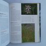encyclopedia of exotic plants for temperate climates by Will Giles Image 7