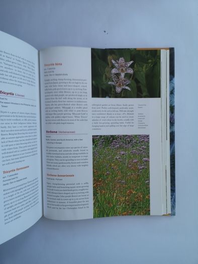 encyclopedia of exotic plants for temperate climates by Will Giles