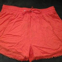 BNWT...Beautiful Burnt Orange Shorts (size 10)