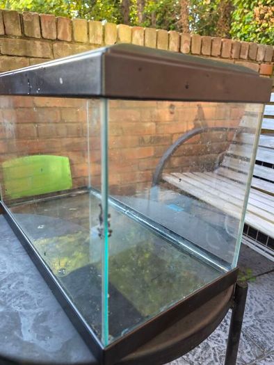 fish tank