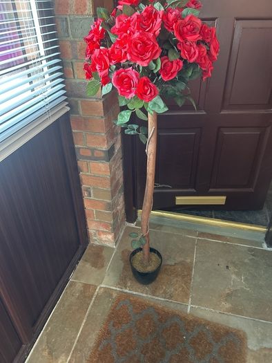 Rose trees