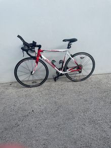 Vitesse Ventura Red and White