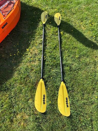 Kayak