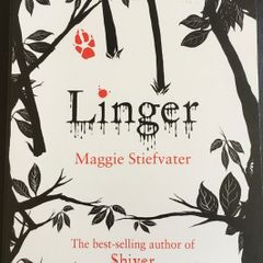 Linger by Maggi Steifvater