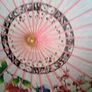 chinese parasol Image 4