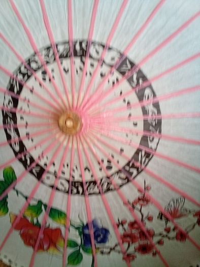 chinese parasol