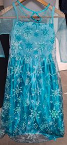 Elsa dress.