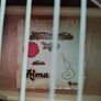 Spanish Guitar Image 4