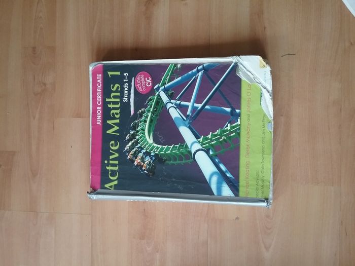 Active Maths 1