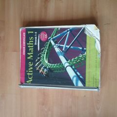 Active Maths 1