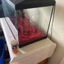 Fish Tank Image 2