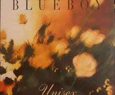 Blueboy Unisex lp