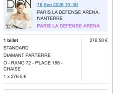 celine dion concert paris