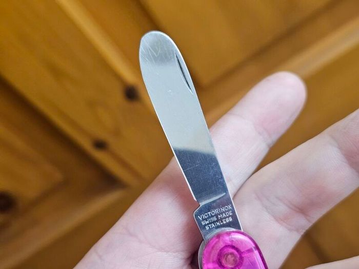 My first Victorinox Swiss Army Knife Childrens edition 84mm model for Whittling