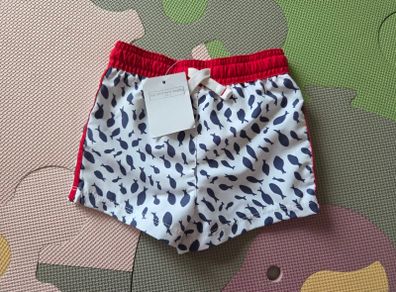 3-6m, With Tags The Little White Company Swimming Trunks