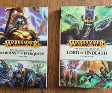 Warhammer Age of Sigmar: The Realmgate Wars.