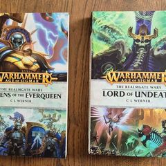Warhammer Age of Sigmar: The Realmgate Wars.